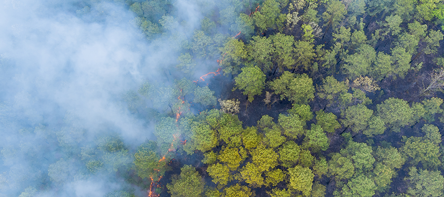 Crise Climática: Um Alerta Urgente!