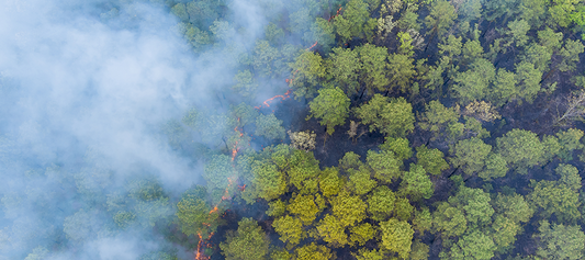 Crise Climática: Um Alerta Urgente!