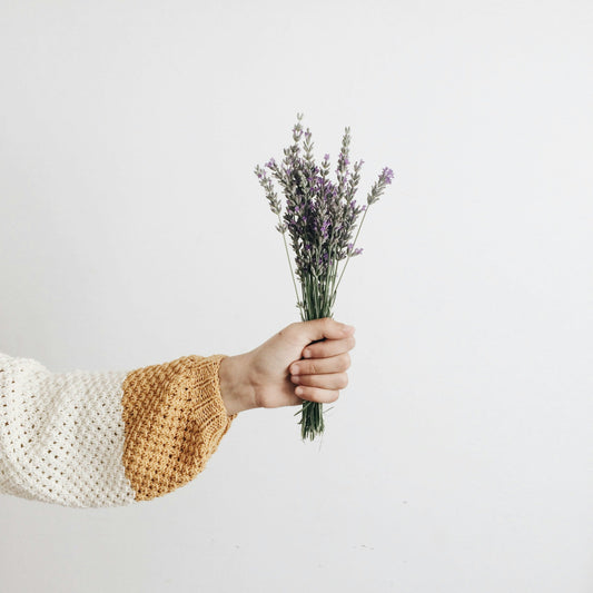 Por que Lavanda? Benefícios da Lavanda na Cosmética Natural
